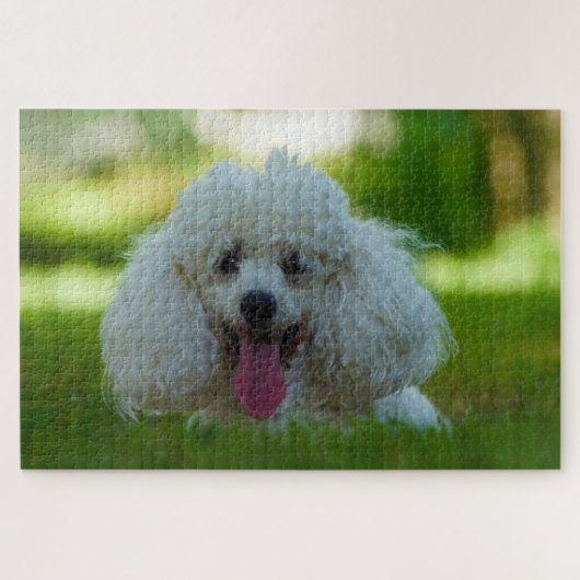 Junge Hunde. Puzzle (Horizontal)