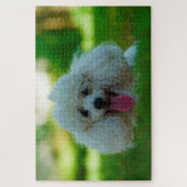 Junge Hunde. Puzzle (Vertikal)