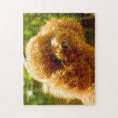 Junge Hunde. Puzzle (Vertikal)