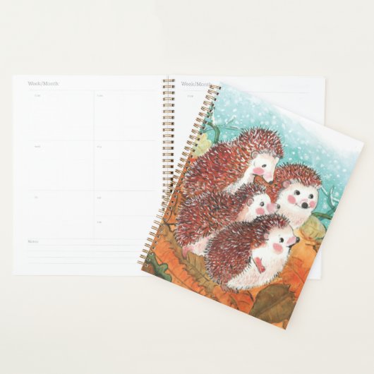 Junge Igel Planer (Anzeige)