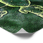 Junge in Featureplakat Poster (Ecke)