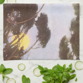 Junge in Hassoc Tree von Jessie Willcox Smith Geschirrtuch (Gefaltet)