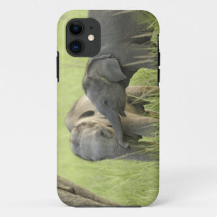 Junge Indische / Asiatische Elefanten Case-Mate iPhone Hülle