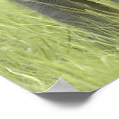 Junge indische/asiatische Elefanten Poster (Ecke)