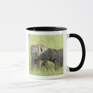 Junge Indische / Asiatische Elefanten Tasse