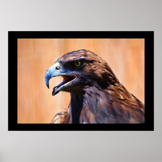 Junge Juvenile Bald Eagle Wildlife Painting Poster (Vorne)