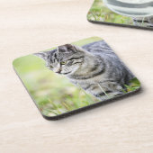 Junge Katze in der Natur Untersetzer (Linke Seite)