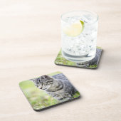 Junge Katze in der Natur Untersetzer (Rechte Seite)