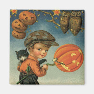 Junge Katze Jack O' Lantern Eule Sterne Magnet