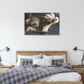 Junge Kayman im Wasser mit Reflexion Leinwanddruck (Insitu (Schlafzimmer))