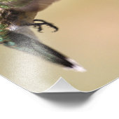 Junge Kolibri füttre in unserem Garten Fotodruck (Ecke)