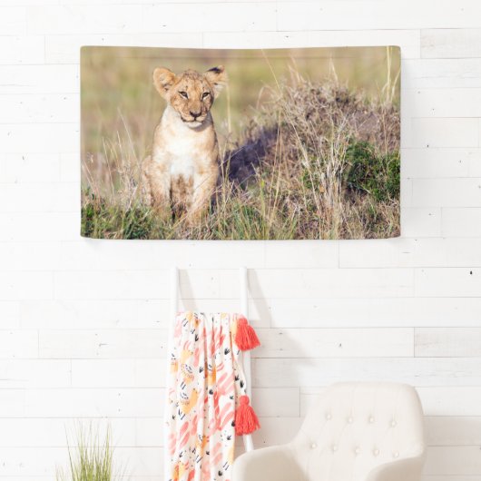 Junge Löwe Banner (Insitu)