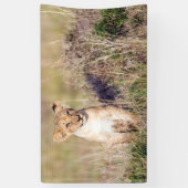 Junge Löwe Banner (Vertikal)