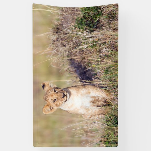 Junge Löwe Banner (Vertikal)