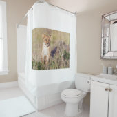 Junge Löwe Duschvorhang (Beispiel)