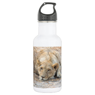 Junge Löwe Edelstahlflasche