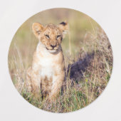 Junge Löwe Etiketten (Design 2)