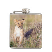 Junge Löwe Flachmann (Vorderseite)