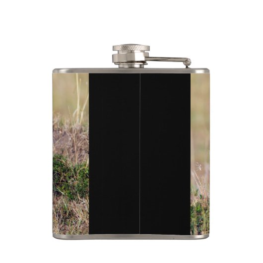 Junge Löwe Flachmann (Rückseite)