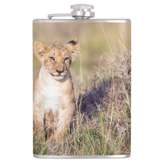 Junge Löwe Flachmann (Vorderseite)