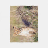 Junge Löwe Fleecedecke (Vorderseite)