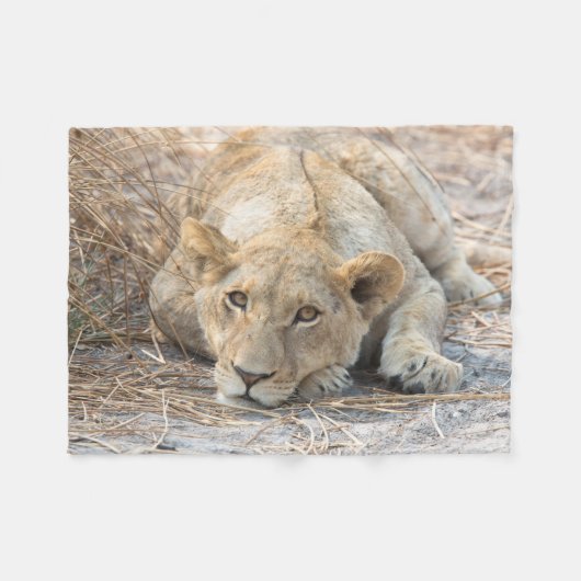 Junge Löwe Fleecedecke (Vorderseite (Horizontal))