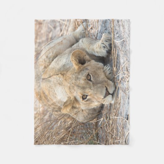 Junge Löwe Fleecedecke (Vorderseite)