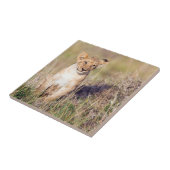 Junge Löwe Fliese (Seite)