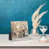 Junge Löwe Fotoplatte (InSitu)