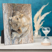 Junge Löwe Fotoplatte (Seite)