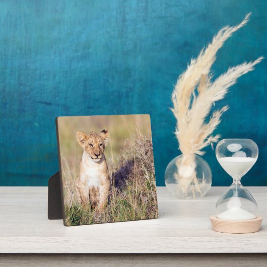 Junge Löwe Fotoplatte (InSitu)