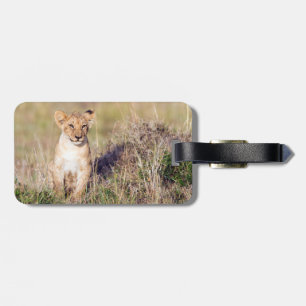 Junge Löwe Gepäckanhänger