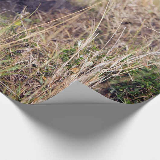 Junge Löwe Geschenkpapier (Ecke)