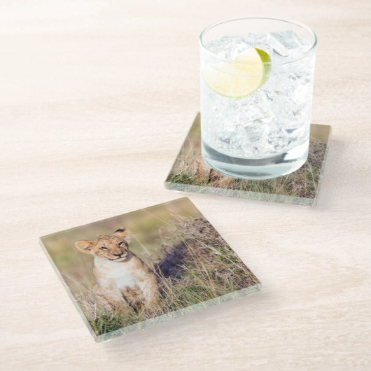 Junge Löwe Glasuntersetzer (Schrägansicht)