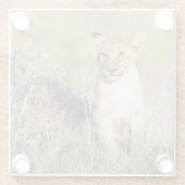 Junge Löwe Glasuntersetzer (Rückseite)