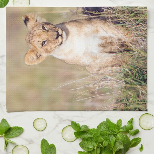 Junge Löwe Handtuch (Gefaltet)