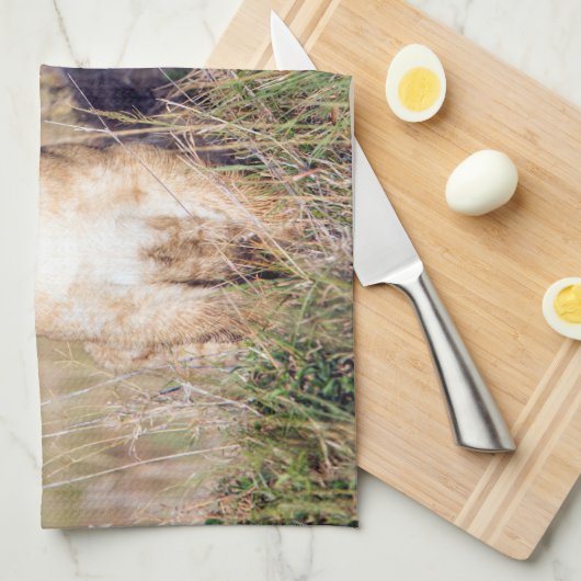 Junge Löwe Handtuch (Viertel Falte)