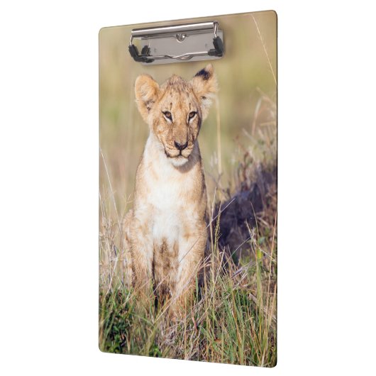 Junge Löwe Klemmbrett (Links)