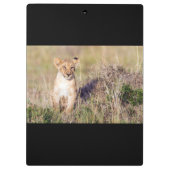 Junge Löwe Klemmbrett (Rückseite)