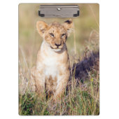 Junge Löwe Klemmbrett (Vorderseite)