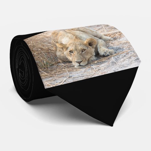 Junge Löwe Krawatte (Gerollt)