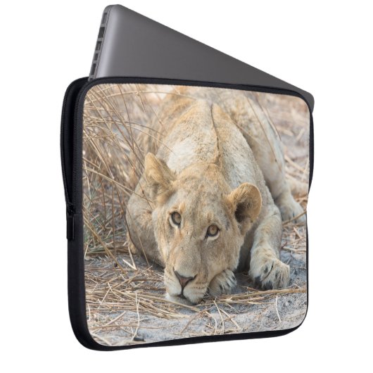 Junge Löwe Laptopschutzhülle (Vorne Rechts)