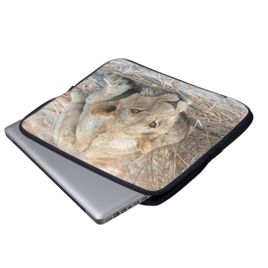 Junge Löwe Laptopschutzhülle (Vorne Knopf)