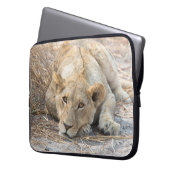 Junge Löwe Laptopschutzhülle (Vorderseite Links)