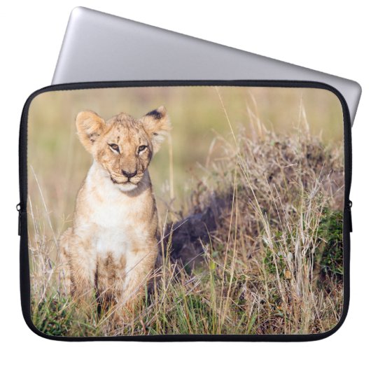 Junge Löwe Laptopschutzhülle (Vorderseite)
