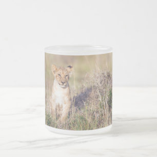 Junge Löwe Mattglastasse