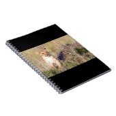 Junge Löwe Notizblock (Rechte Seite)