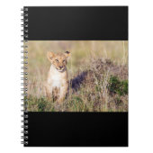 Junge Löwe Notizblock (Vorderseite)