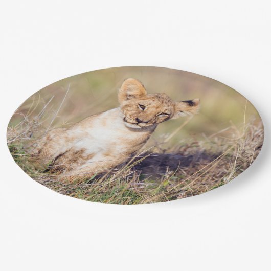 Junge Löwe Pappteller (Schrägansicht)