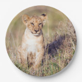Junge Löwe Pappteller (Vorderseite)